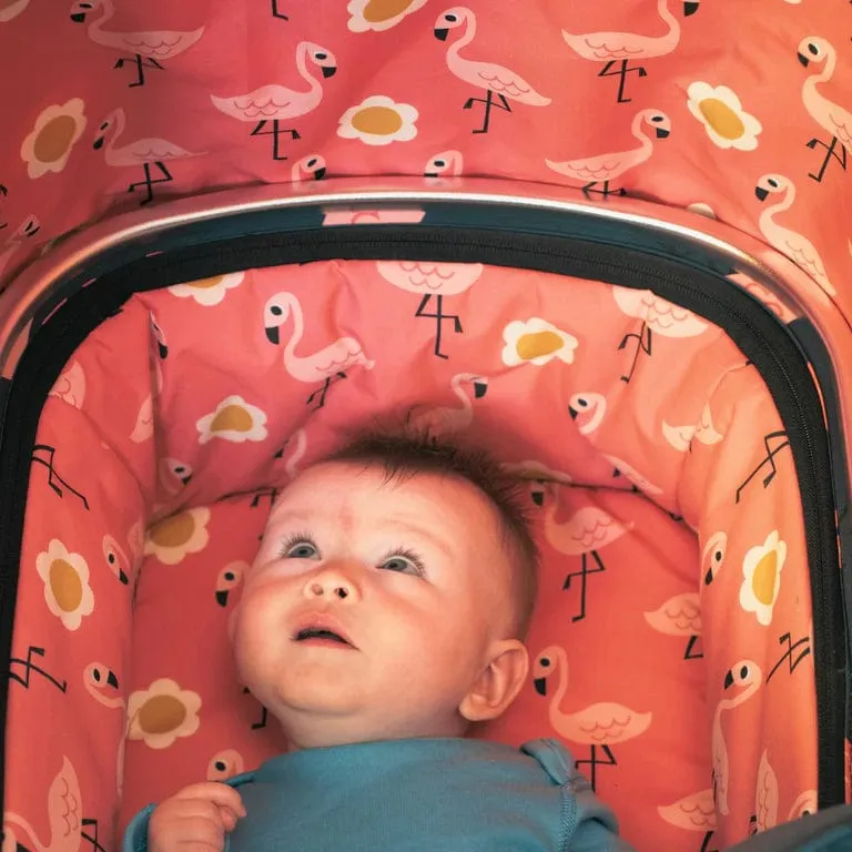 Cosatto Giggle 3 in 1 i-Size Bundle - Pretty Flamingo